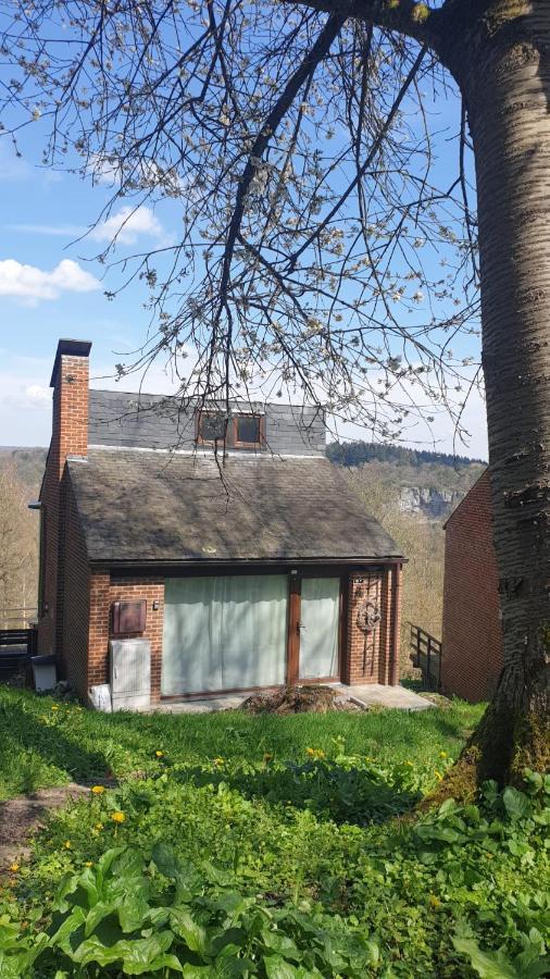 La Cabane D'Helie - Cottage En Pleine Foret - Domaine Du Bonsoy Hastiere-par-dela Esterno foto