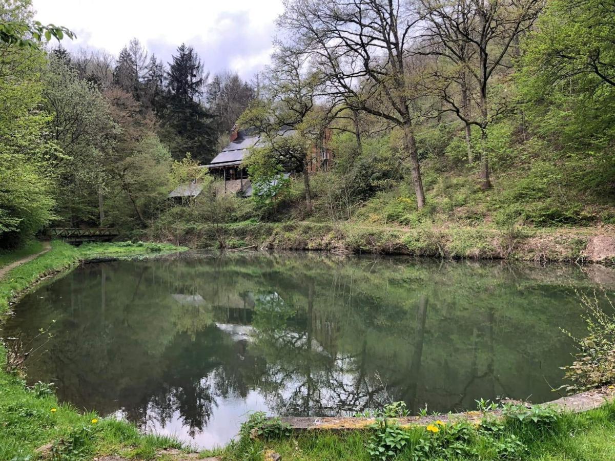 La Cabane D'Helie - Cottage En Pleine Foret - Domaine Du Bonsoy Hastiere-par-dela Esterno foto
